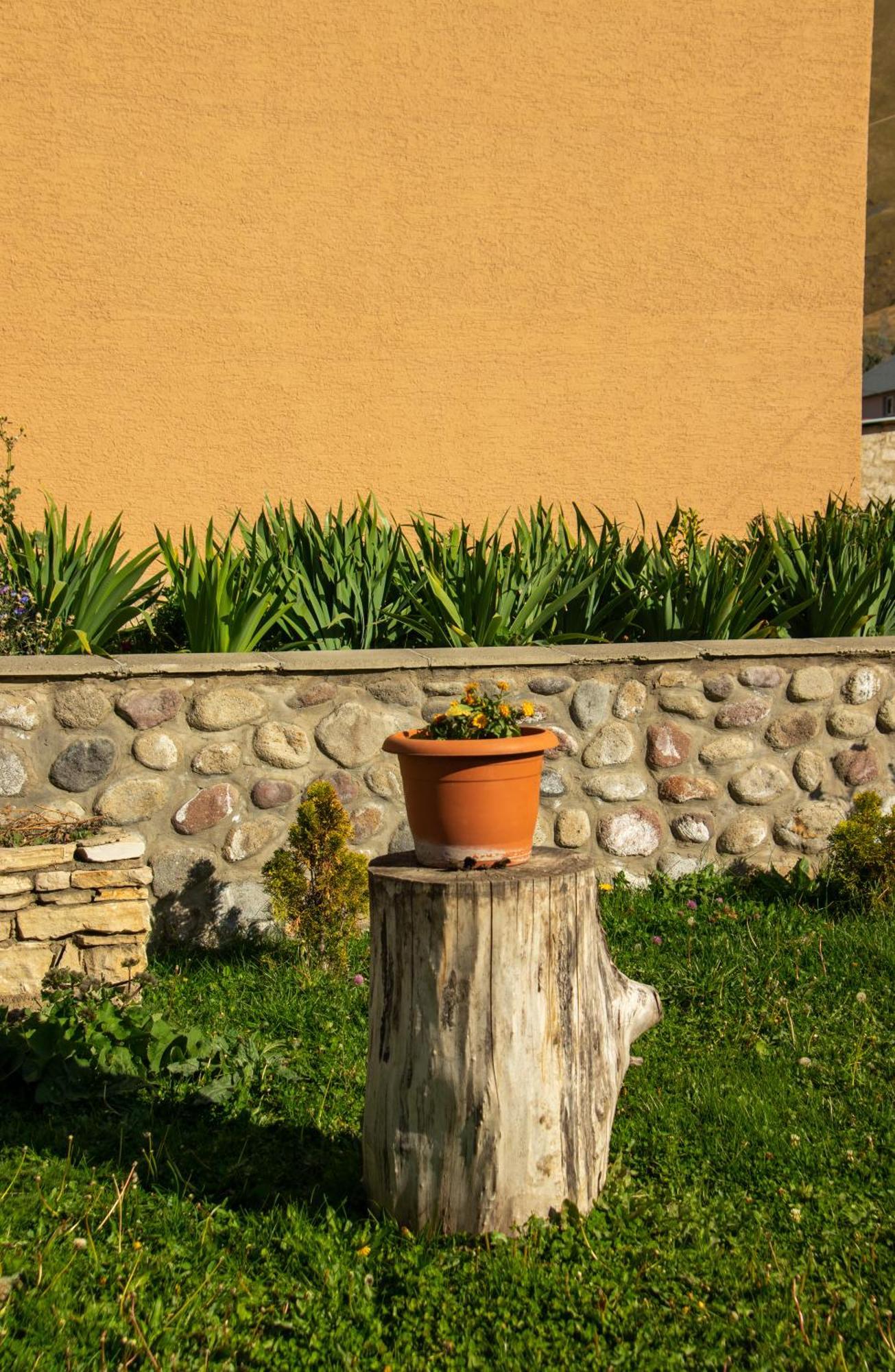 Guest House Oxygen Kazbegi Ngoại thất bức ảnh